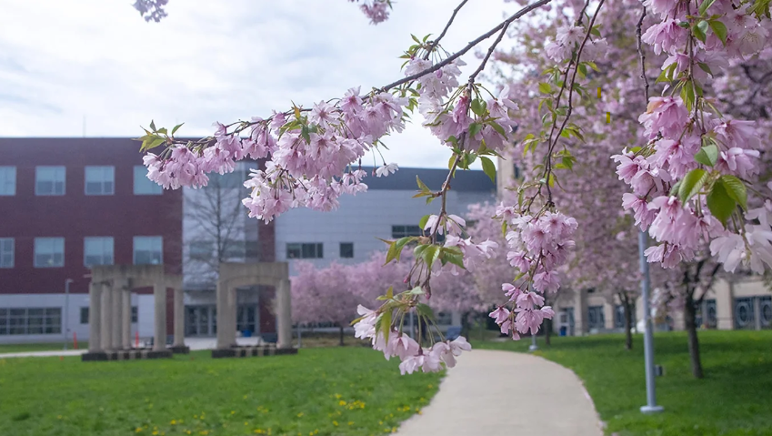 Housatonic campus